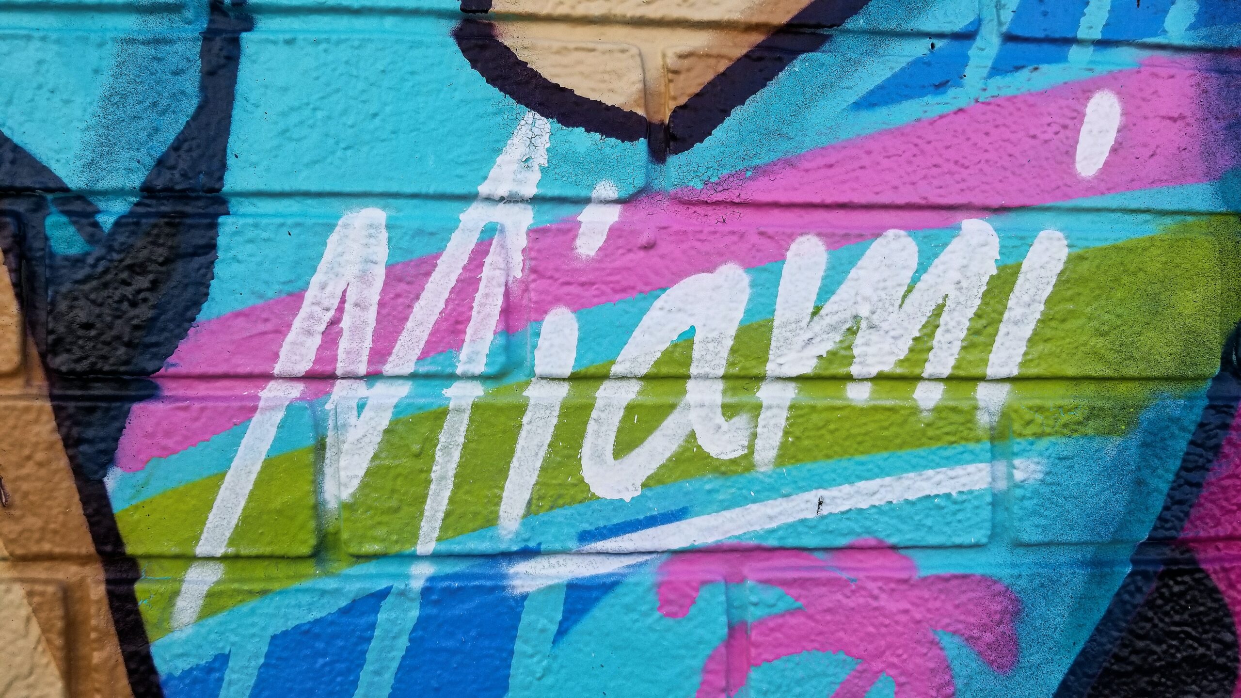 Top 10 Things to do in Miami
