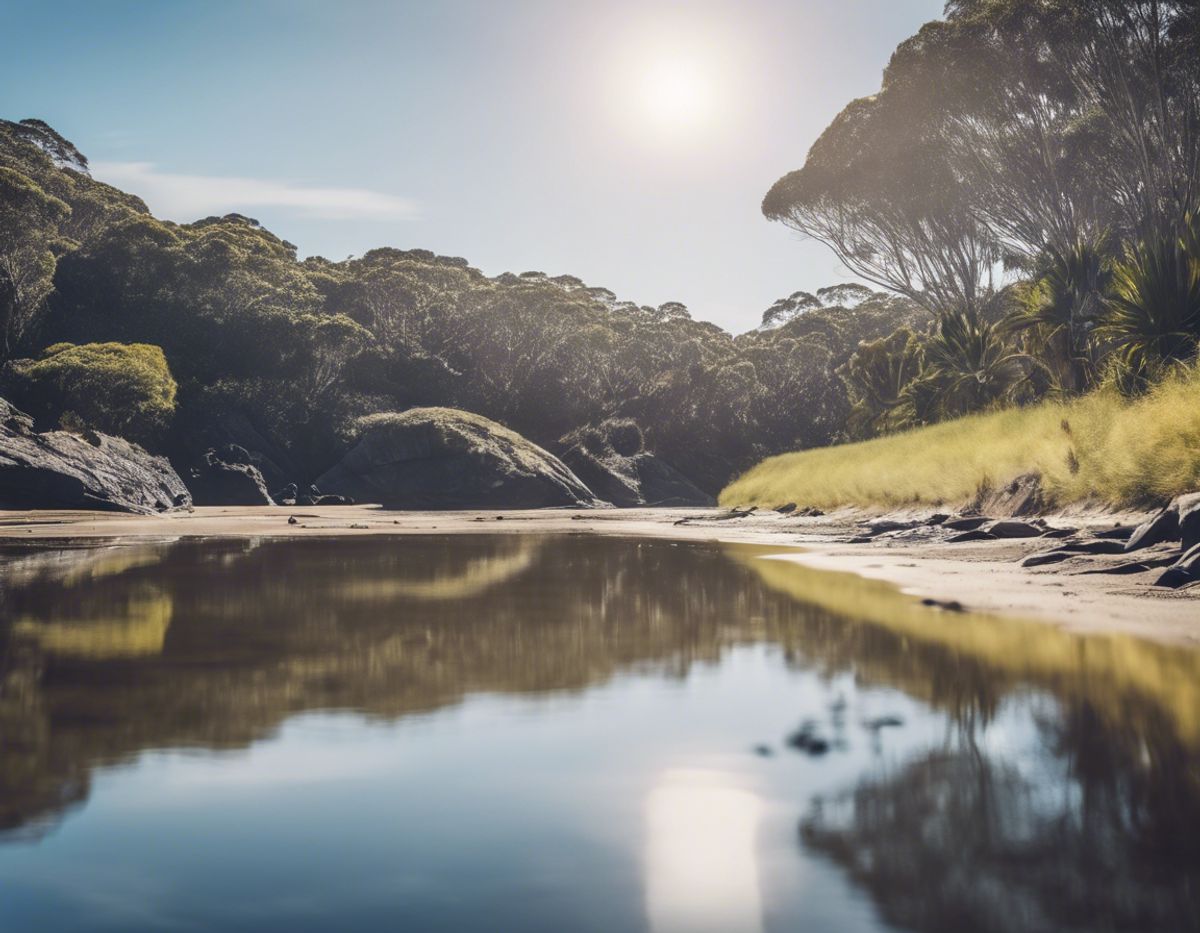 Coffs Harbour to Ballina: Best Travel Options